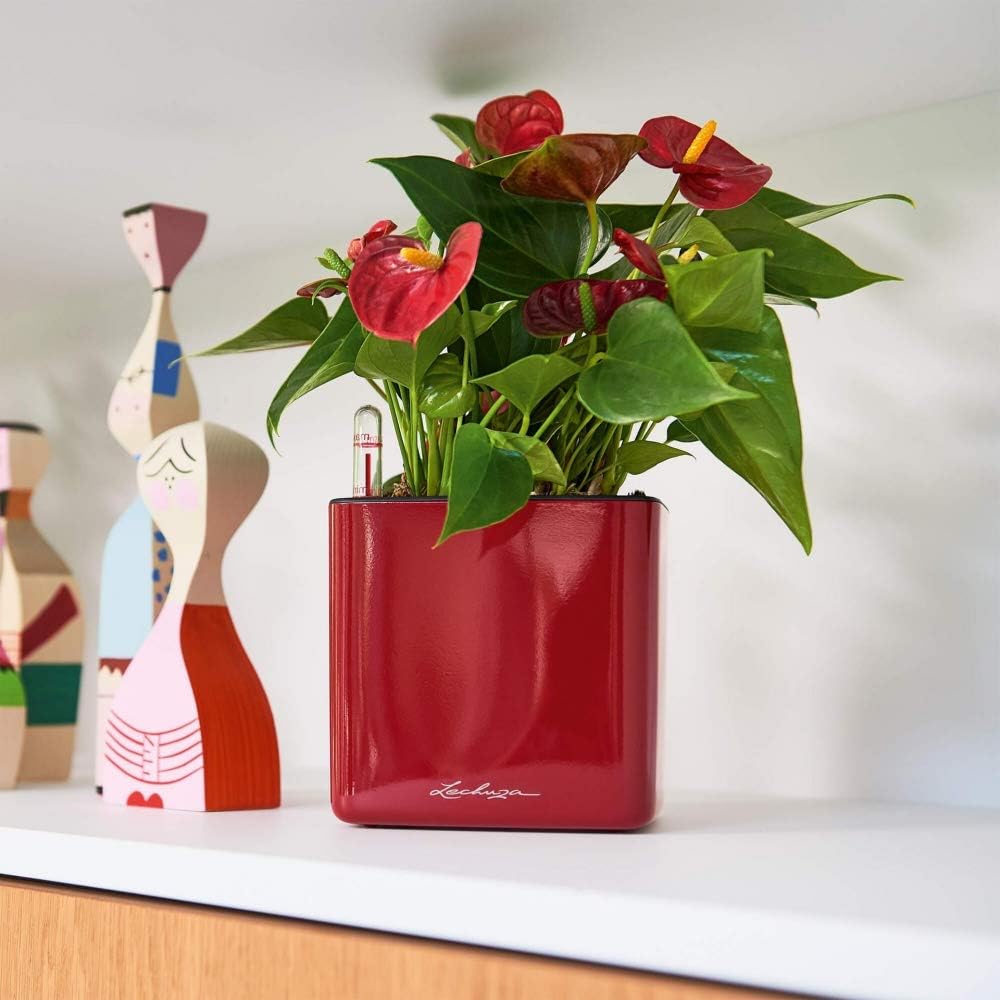 Detalle de LECHUZA CUBE Glossy 16 Rosso Scarlatto High Gloss 13522: stile e irrigazione integrata per piante da interno