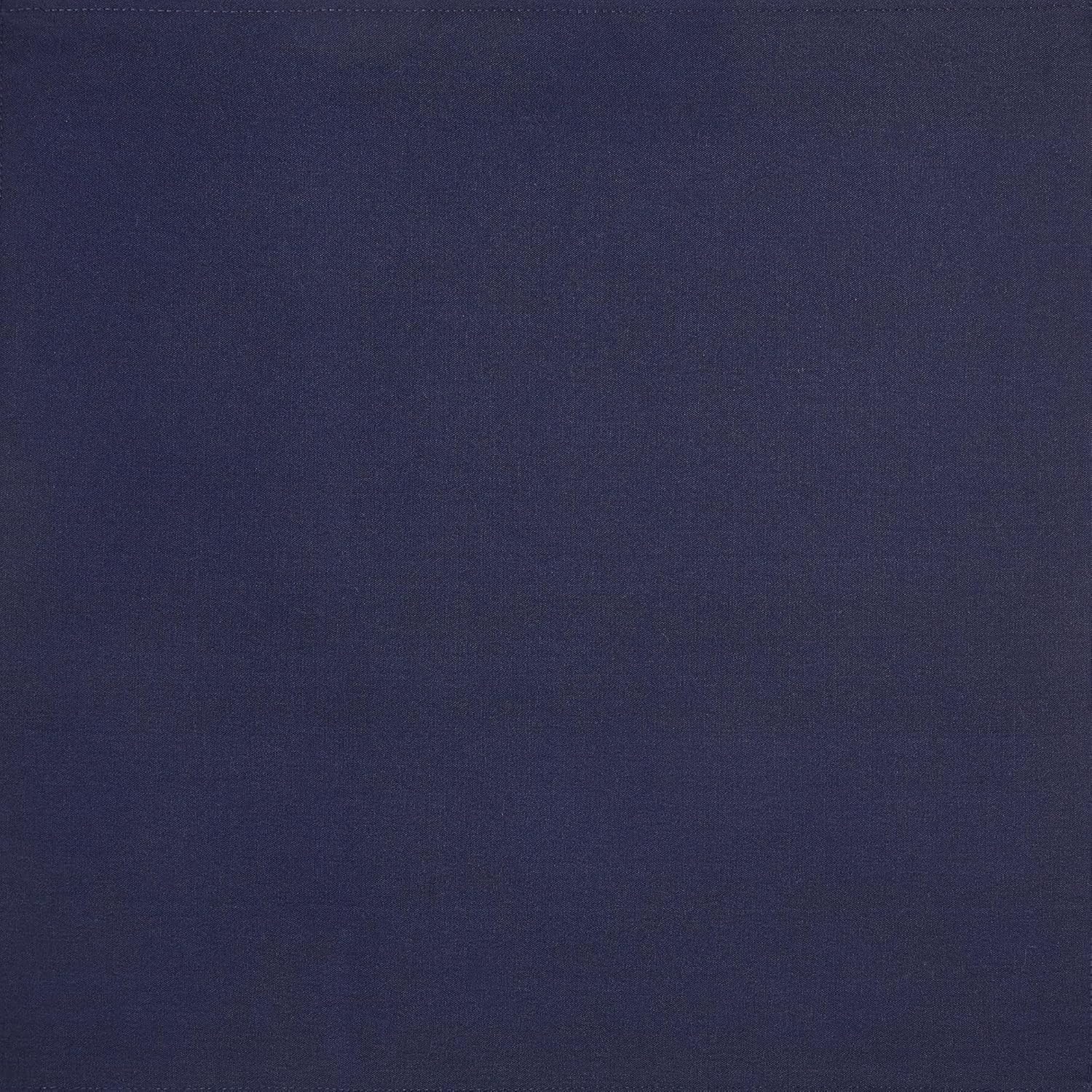 Detalle de Amazon Basics Reusable Stain and Wrinkle Resistant Cloth Napkins, 43 x 43 cm (Set of 12) — Blue