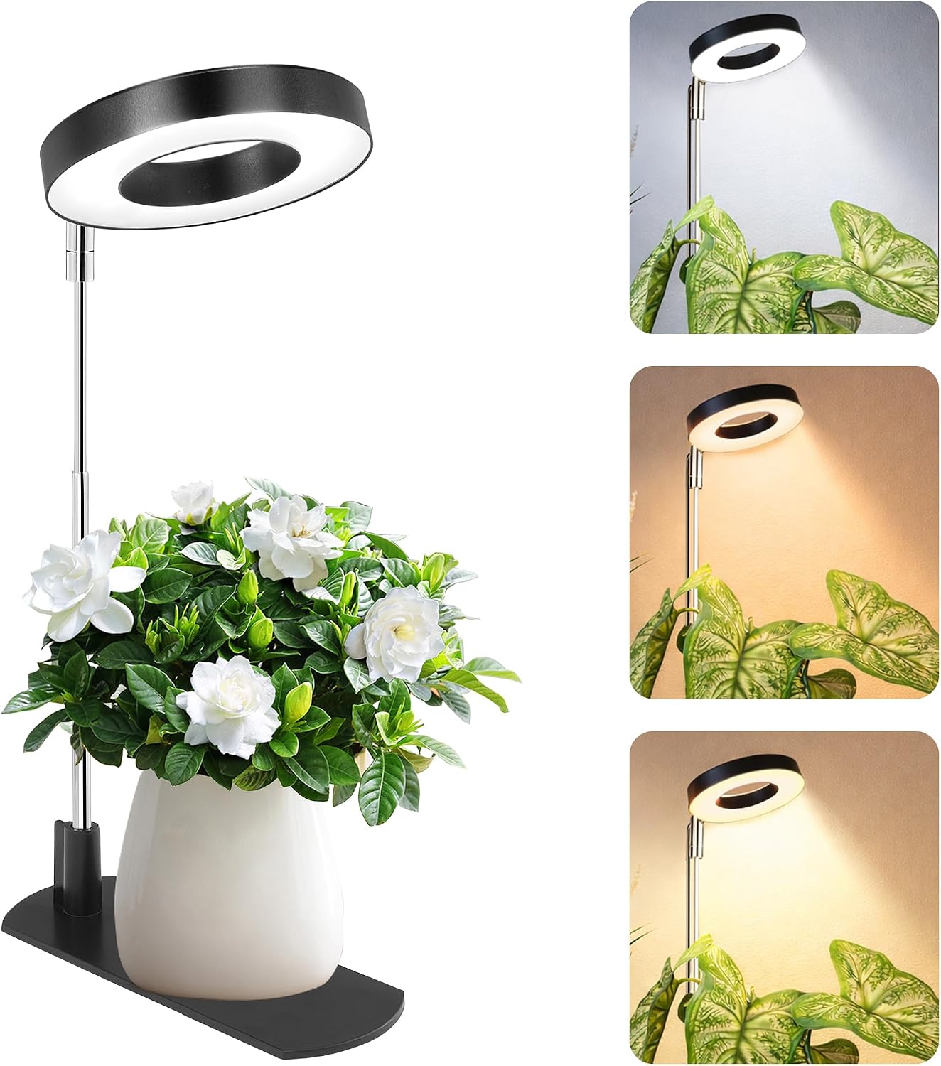 Detalle de LBW A0212 Full-Spectrum Halo Grow Light, 48 LEDs, Adjustable Height and Timer