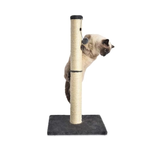 Detalle 2 de Amazon Basics Arbre à chat d'intérieur standard avec jouet suspendu — gris, 80 cm