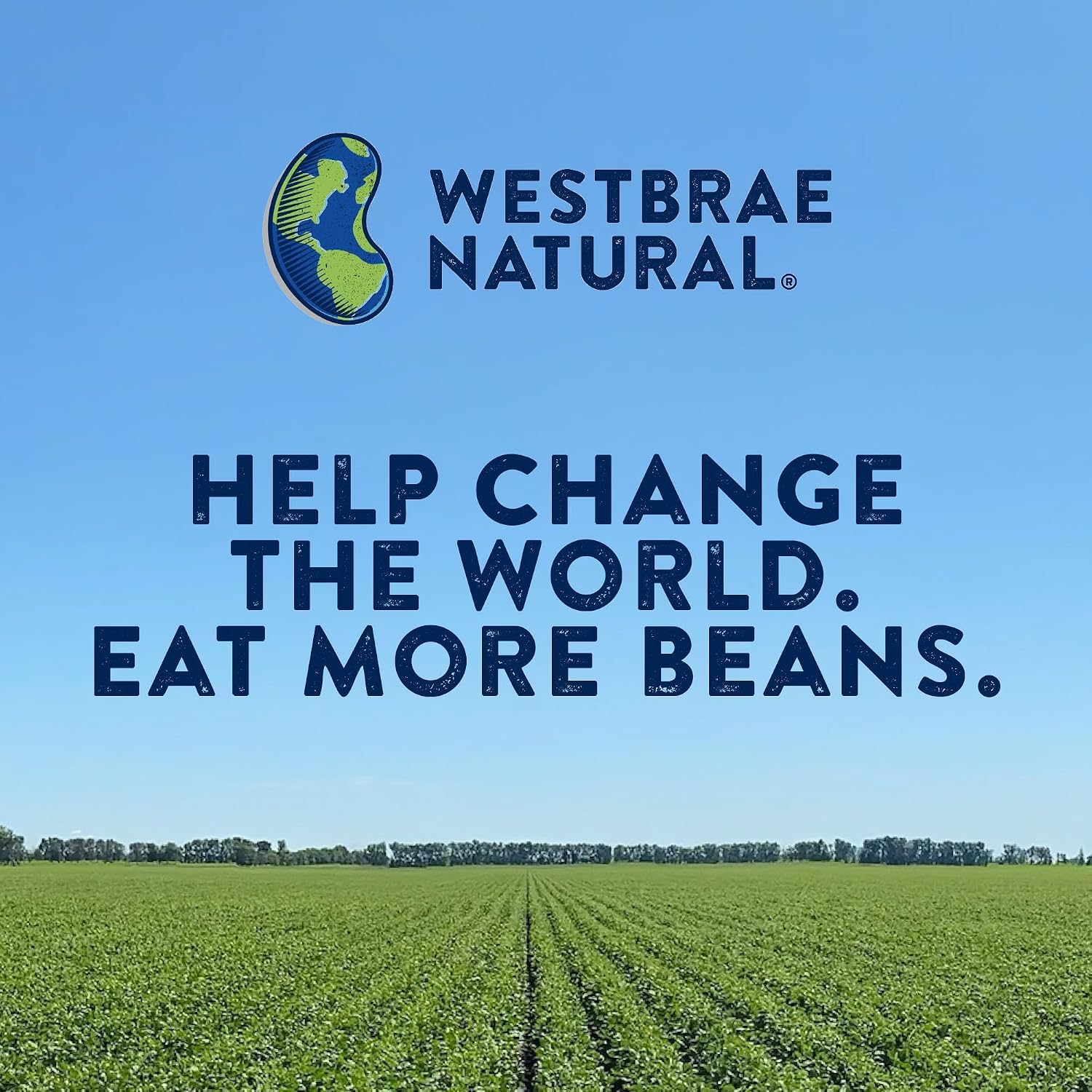 Detalle 1 de Westbrae Natural Organic Black Beans, 15 oz Cans, Pack of 12