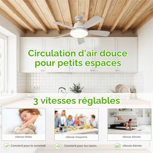 Thumbnail 5 de joyshie Ventilateur de Plafond avec Lumière et Télécommande, 62 cm – LED dimmable 3 couleurs, 3 vitesses, minuterie, douille E27