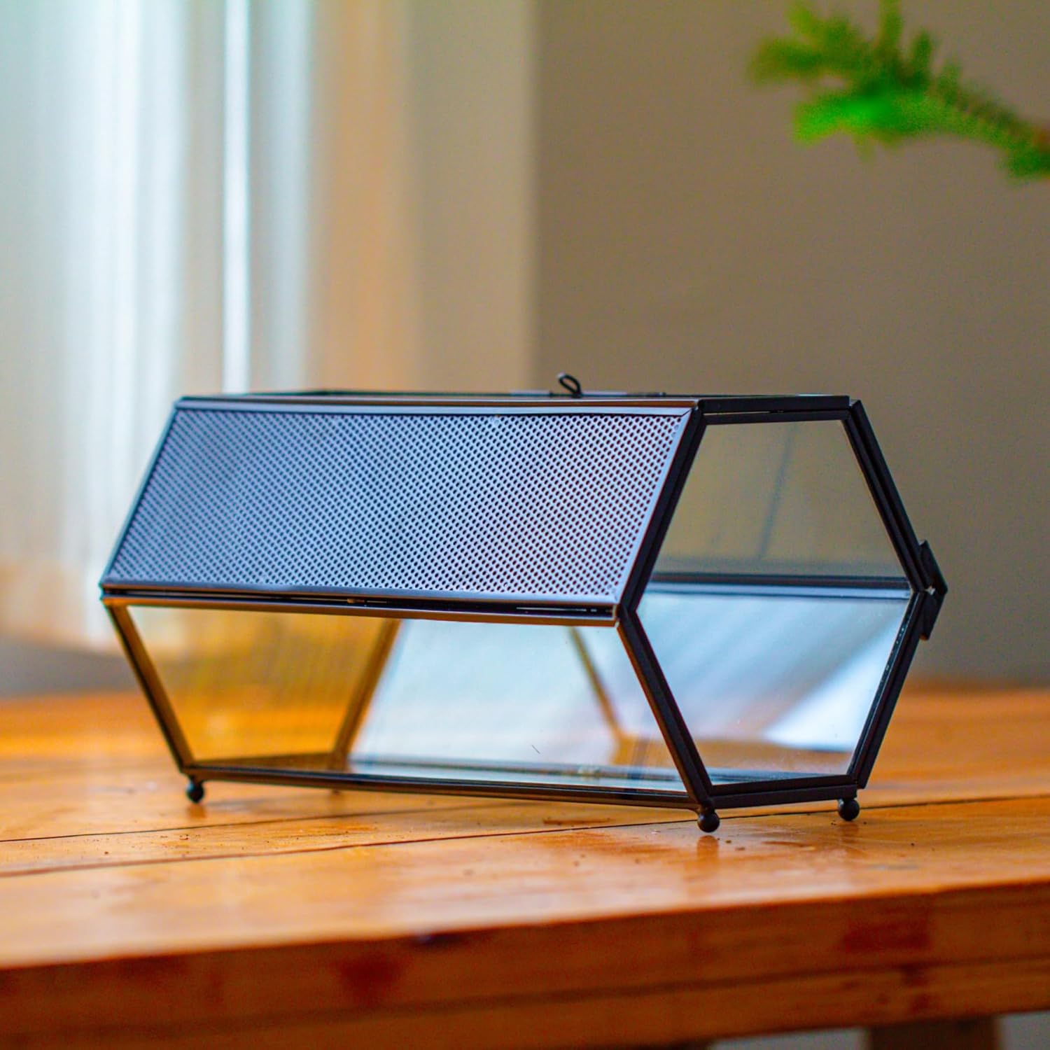 Thumbnail 6 de NCYP Mini Glass Enclosure Terrarium with Mesh & Door for Jumping Spiders — Hexagon, 20 x 11.5 x 10 cm