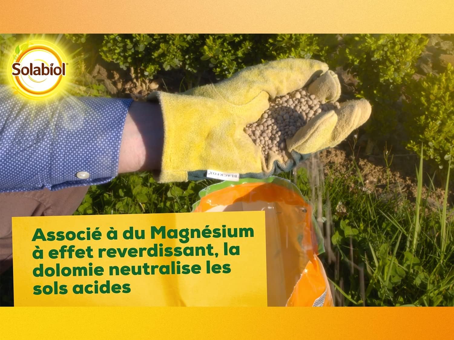 Detalle 2 de SOLABIOL Carbonate De Chaux Et De Magnésium 10 kg