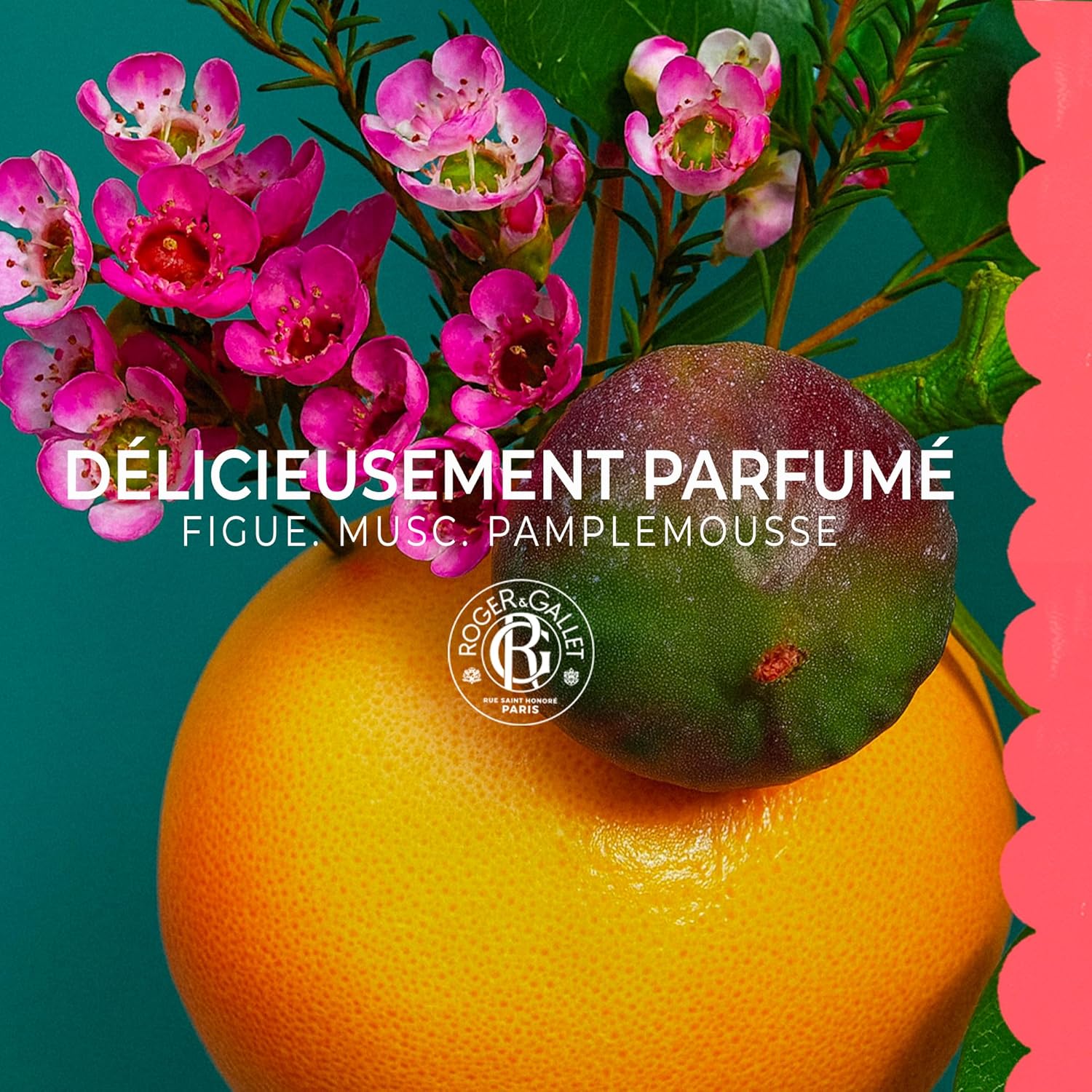 Thumbnail 2 de Roger&Gallet Lait Corps Parfumé Fleur de Figuier – Lait Hydratant et Nourrissant au Beurre de Karité