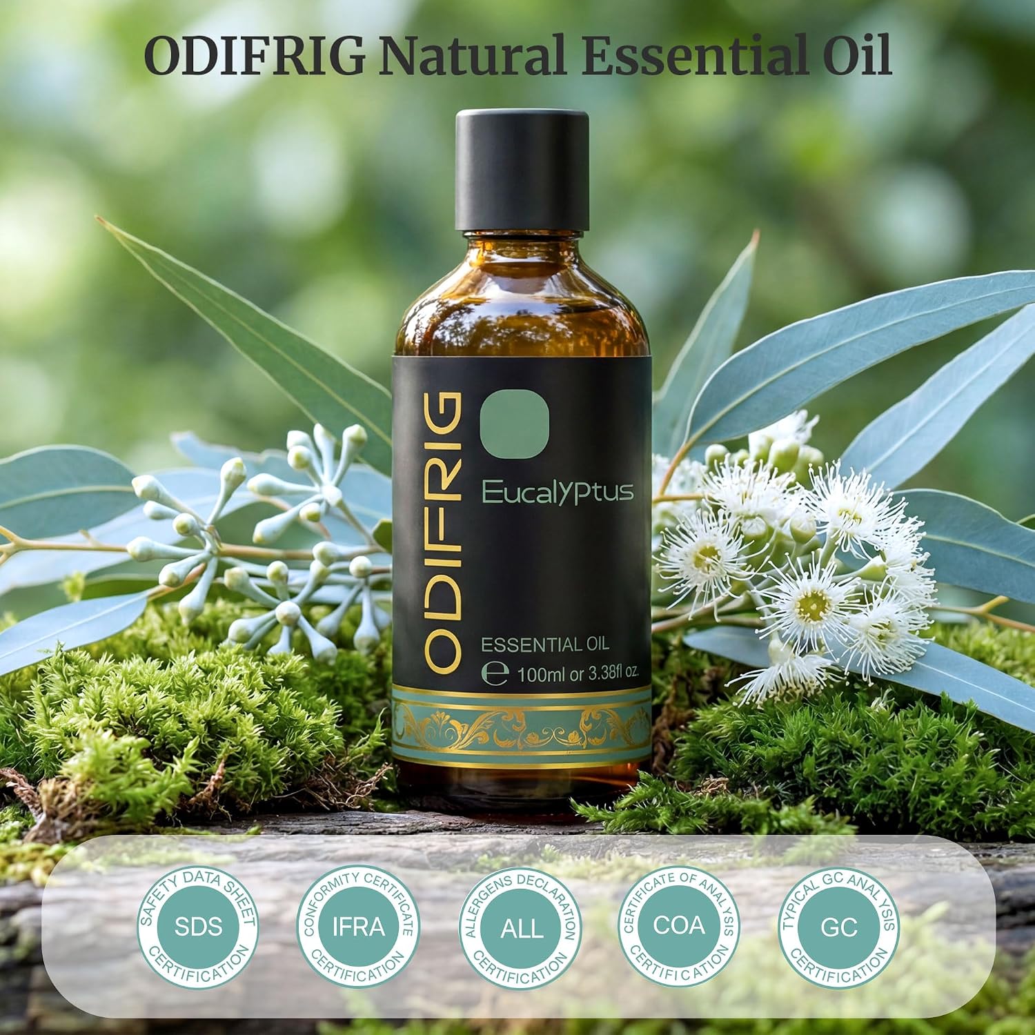 Detalle 2 de Olio essenziale eucalipto ODIFRIG 100 ml