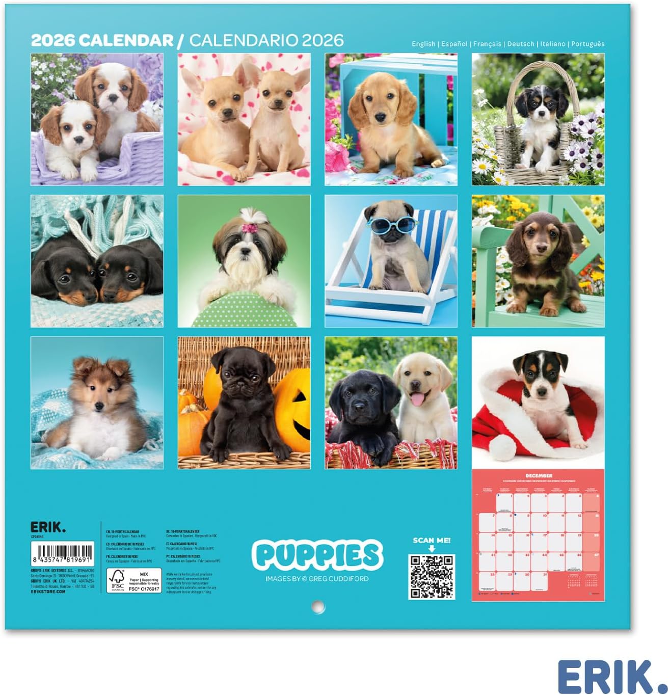 Thumbnail 1 de Grupo Erik Calendario muro 2026 Cuccioli 30x30 cm 📅
