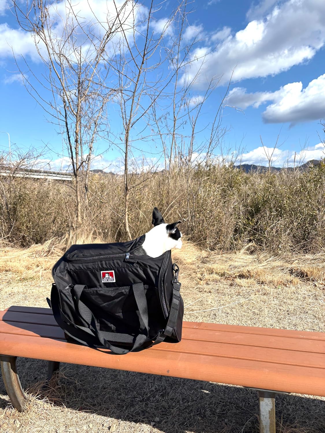 Detalle de BEN DAVIS BDD-9000 PET 2WAY CARRY BAG ペットキャリーバッグ、メッシュ窓・洗えるクッション・ブラック