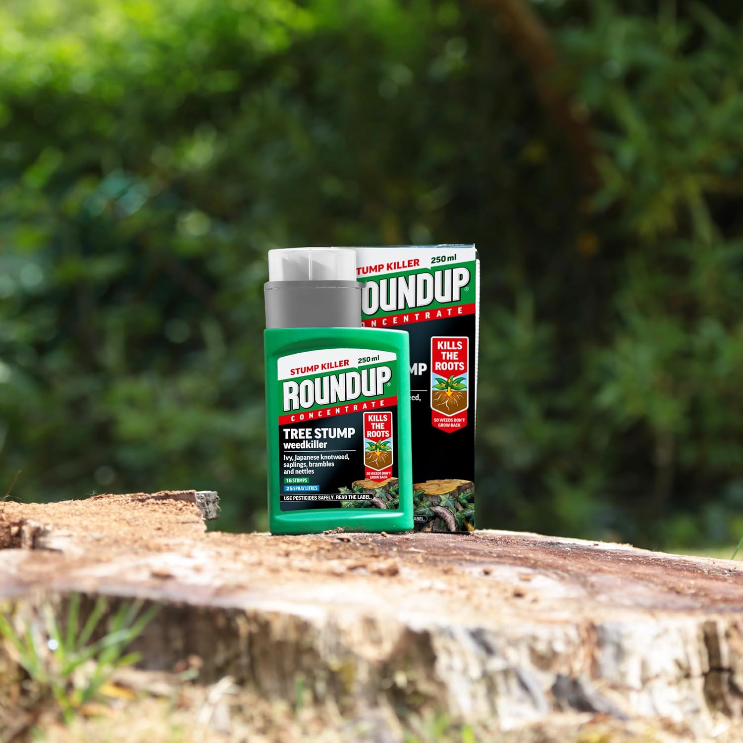 Thumbnail 3 de Roundup Tree Stump Weedkiller, Super Concentrate 250 ml — practical stump and deep-rooted weed control