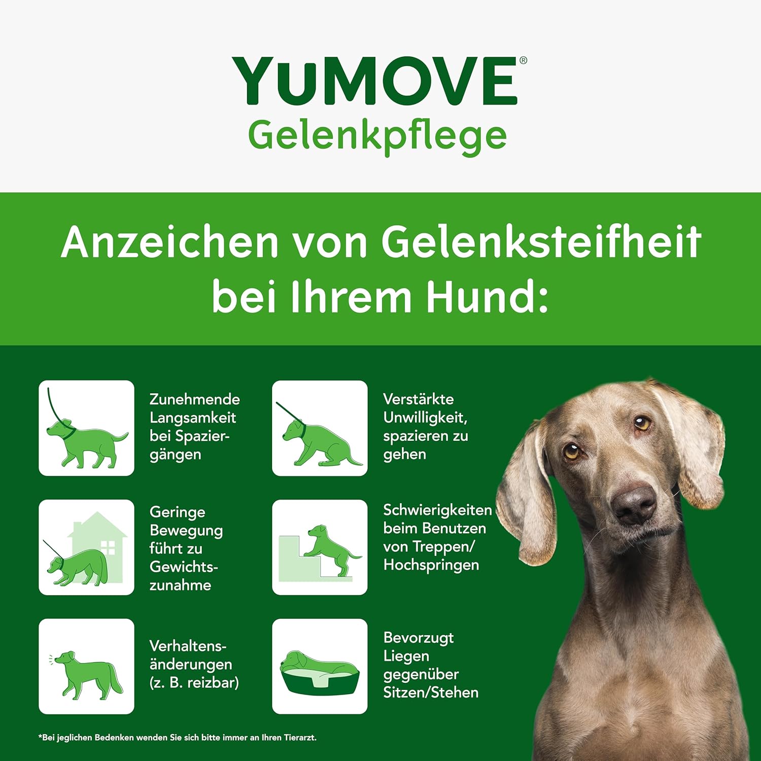 Thumbnail 4 de YuMOVE Gelenktabletten Hund 120 Stück (8+ Jahre) mit ActivEase Grünlippmuschel, Glucosamin & Omega-3