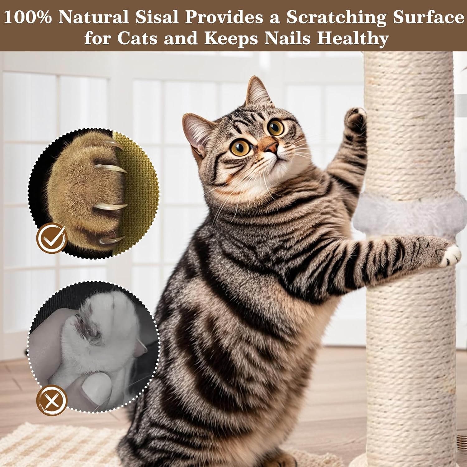 Thumbnail 6 de PAROTO MZZ-N Cat Scratching Post with Sisal and 7 Interactive Toys
