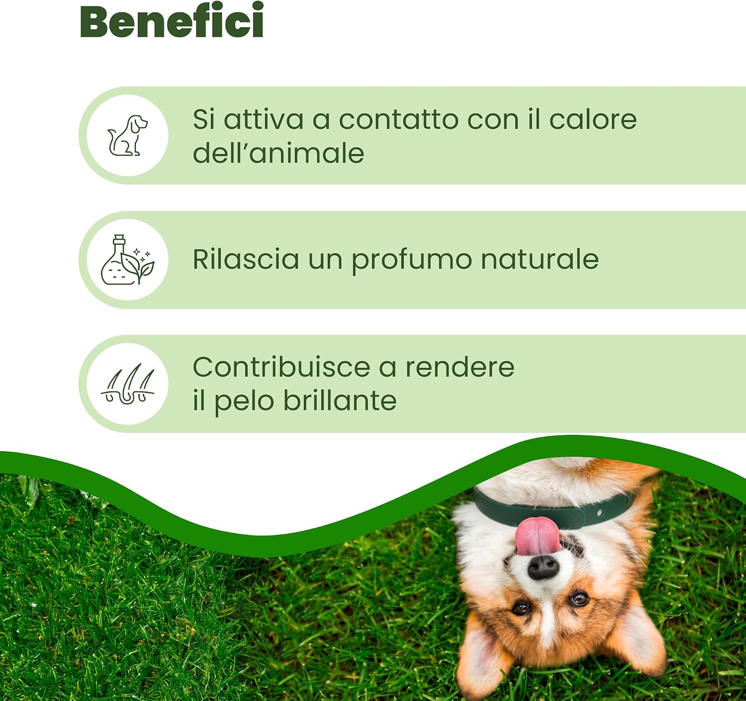 Detalle de CAMON Collare Protettivo per Cane (>10kg) con Olio di Neem, 60 cm: protezione naturale fino a 2 mesi