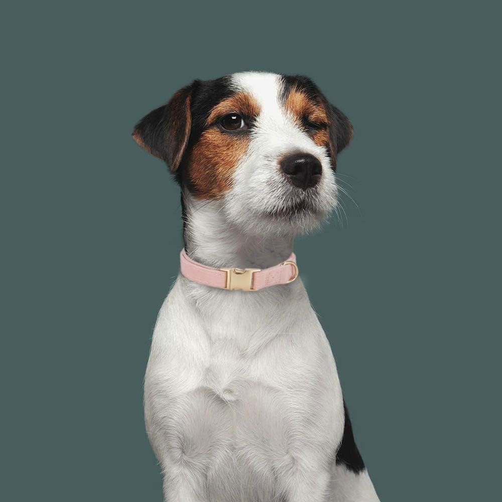 Detalle de Petiry Soft Dog Collar with Safety Metal Buckle — Adjustable Velvet Corduroy for Large Dogs (40-66cm) in Baby Pink