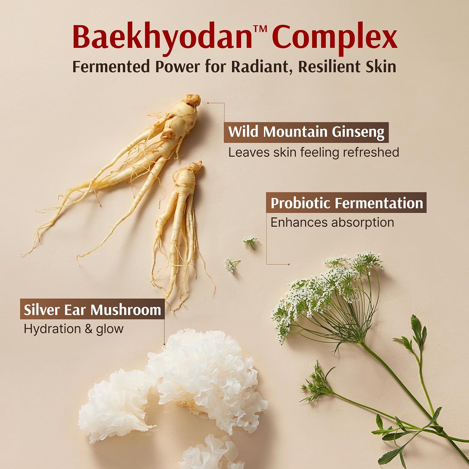 Thumbnail 5 de Sooryehan Hyobidam Fermented Skincare Gift Set with Wild Ginseng
