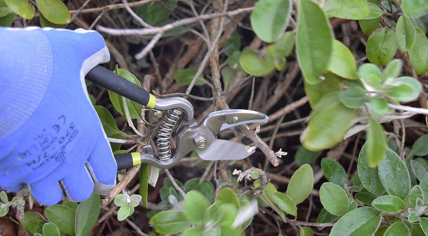 Thumbnail 2 de Spear & Jackson Cutting Set 8K: Kew Gardens Collection Vintage Bypass & Anvil Secateur Set