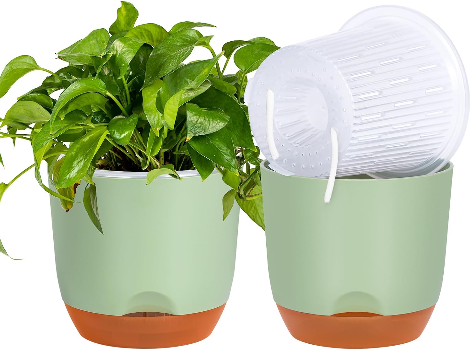 Detalle 2 de QCQHDU 2Pack 7.2In Large Self-Watering Orchid Pots with Detachable Reservoir