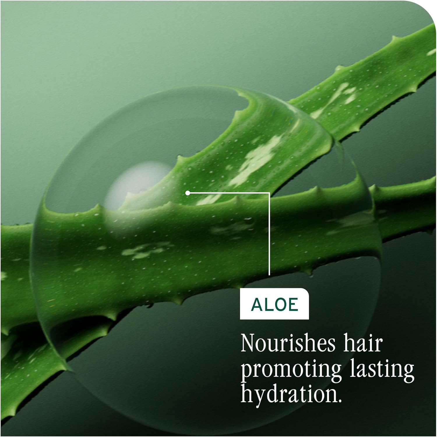 Thumbnail 5 de Biolage Hydra Source Deep Treatment Mask (100ml) hydrating treatment mask for dry hair