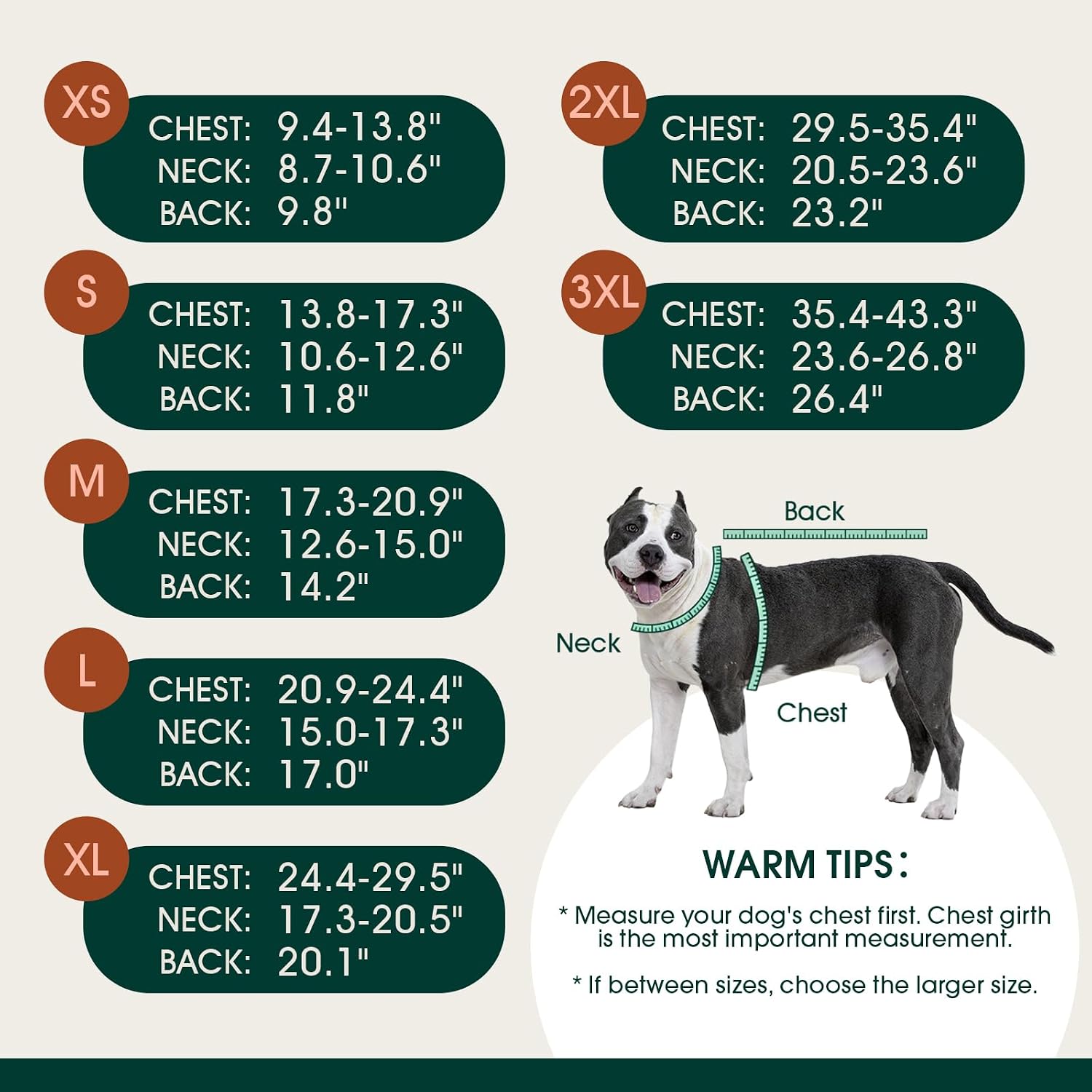 Detalle 2 de Kuoser Dog Coat, 2XL