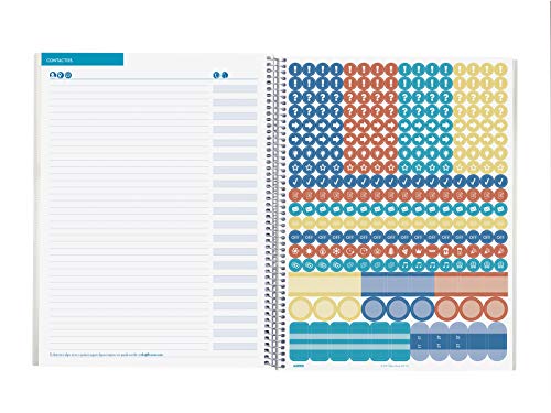 Detalle de Finocam Cuaderno del Docente – Semana Página sin fechar, 24 hojas de evaluaciones y portada personalizable (230 x 310 mm)