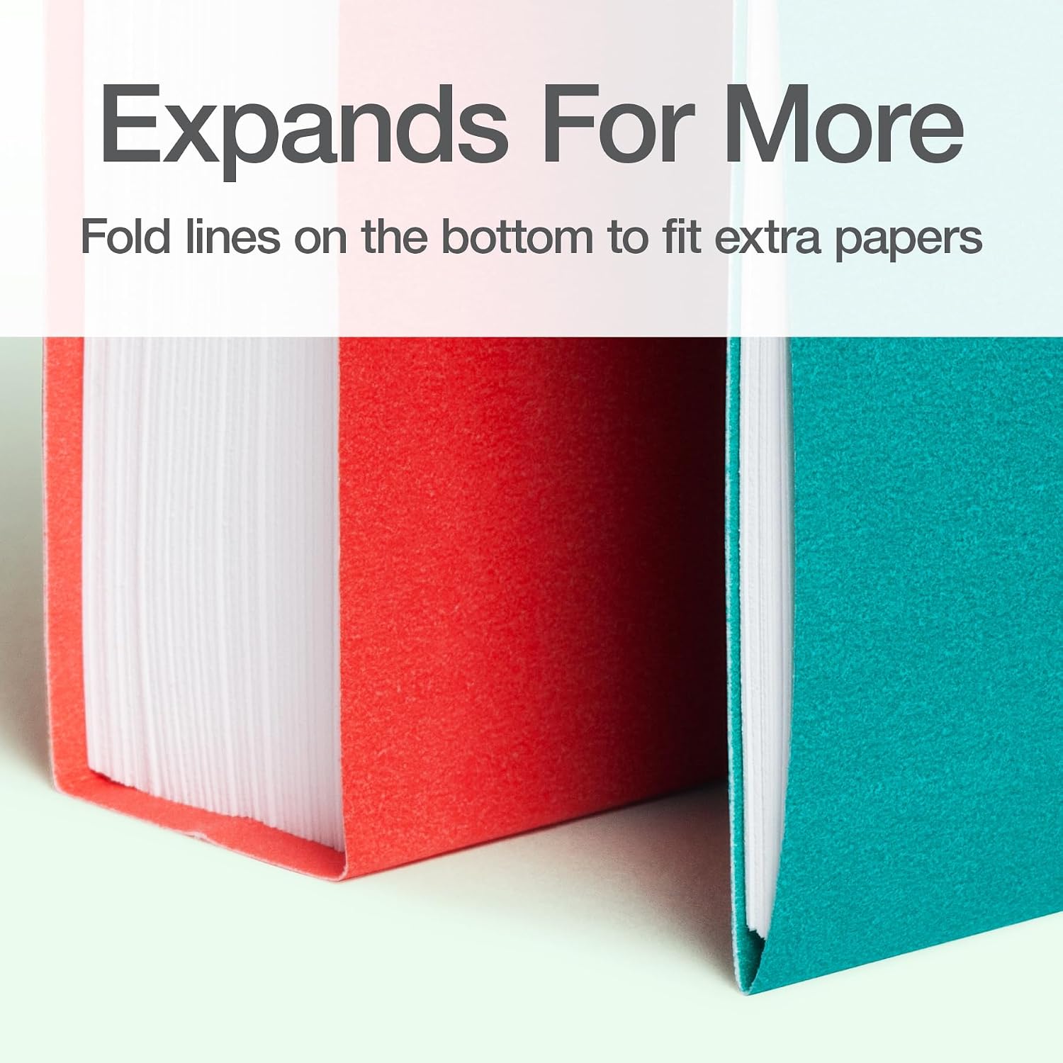 Detalle 2 de Oxford 1018316 Hanging File Folders, Letter Size, 25 Pack, 4 Colors