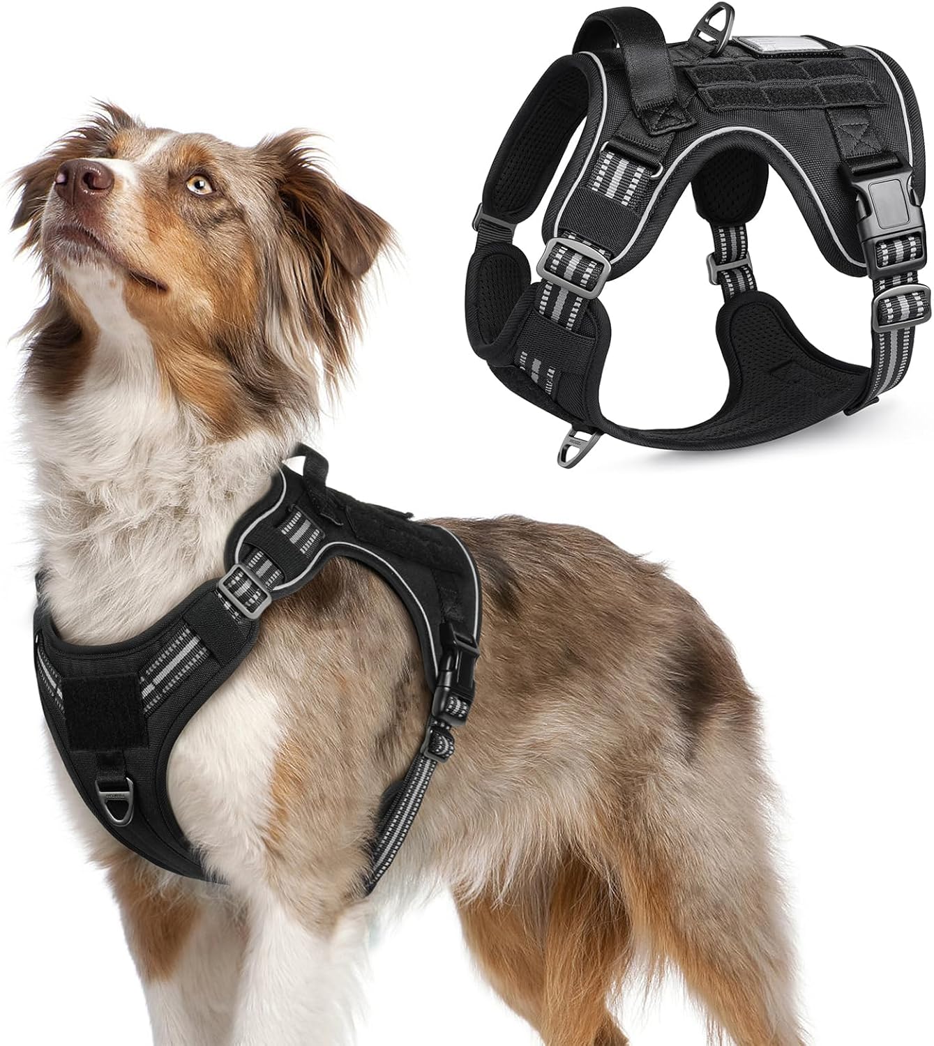 rabbitgoo Harnais Chien Anti Traction M