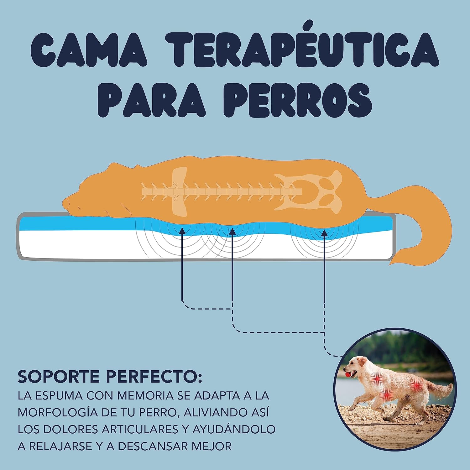 Thumbnail 1 de ZENAPOKI Cama Perro Grande XL cama ortopédica