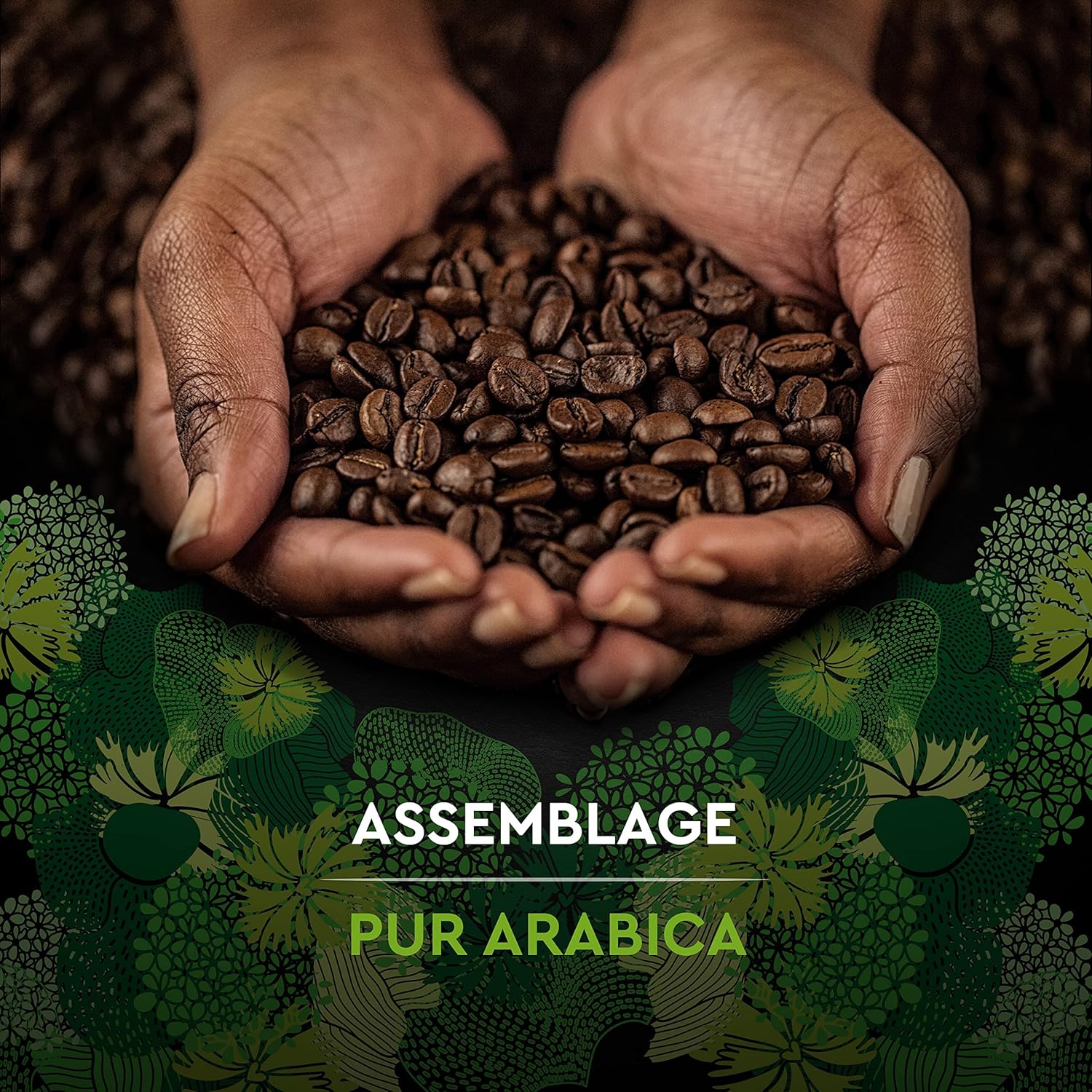 Thumbnail 1 de CARTE NOIRE Café en grain Bio 100% Arabica – Origine Amérique Latine, 1 kg