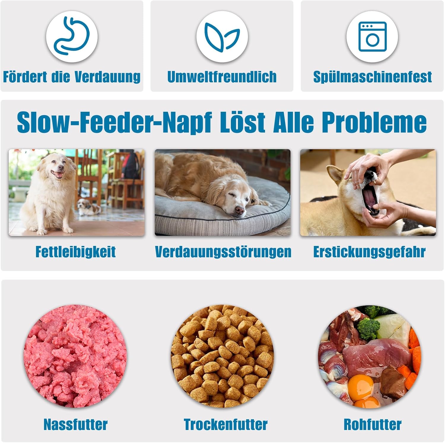 Thumbnail 3 de TOKAYIFE Antischlingnapf Hunde Klein, 16.3 cm – langsames Futter für Katzen & kleine Hunde