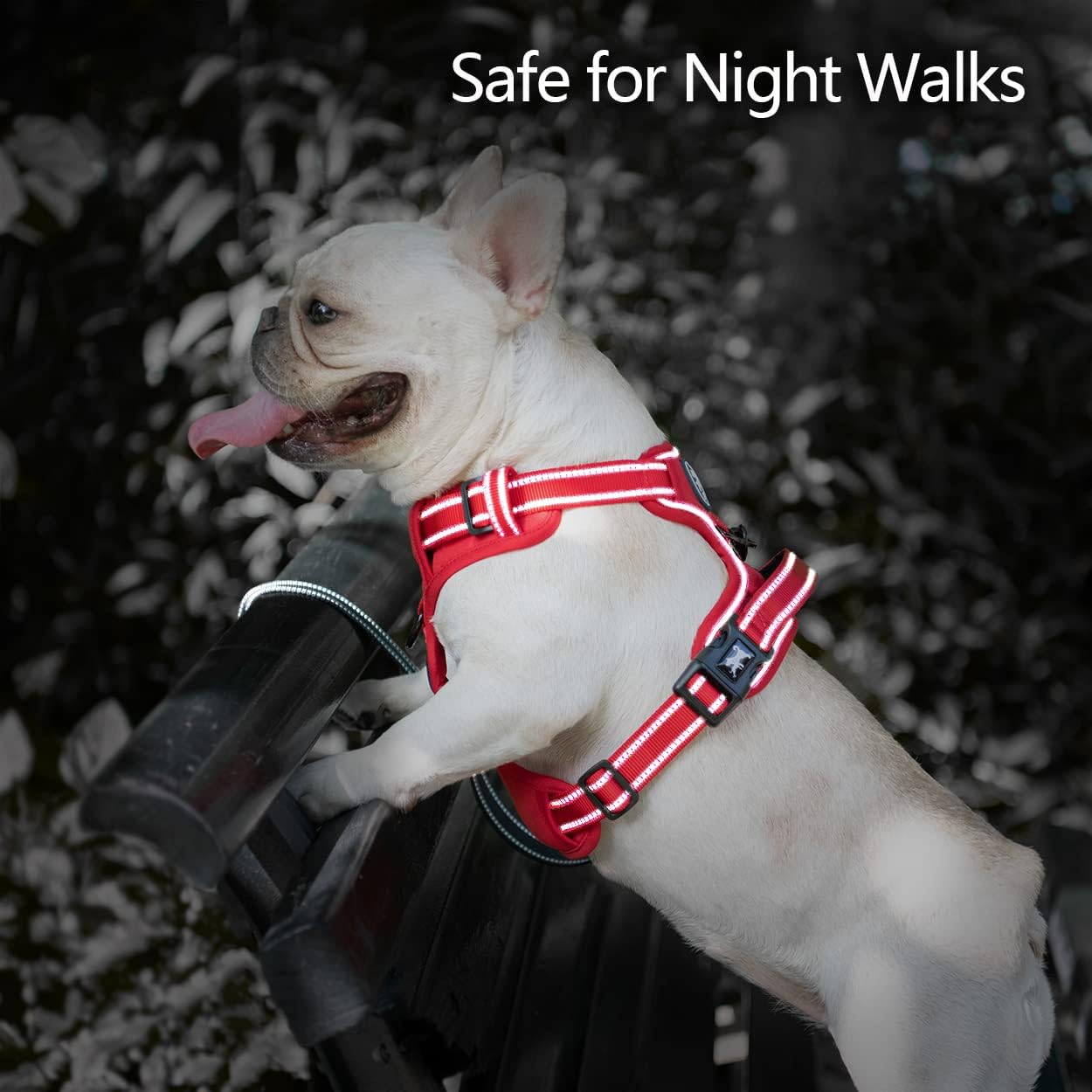 Thumbnail 6 de PoyPet No Pull Dog Harness (Red Matching Trim) – Reflective, Adjustable M, No-Choke with Front & Back Leash Attachments