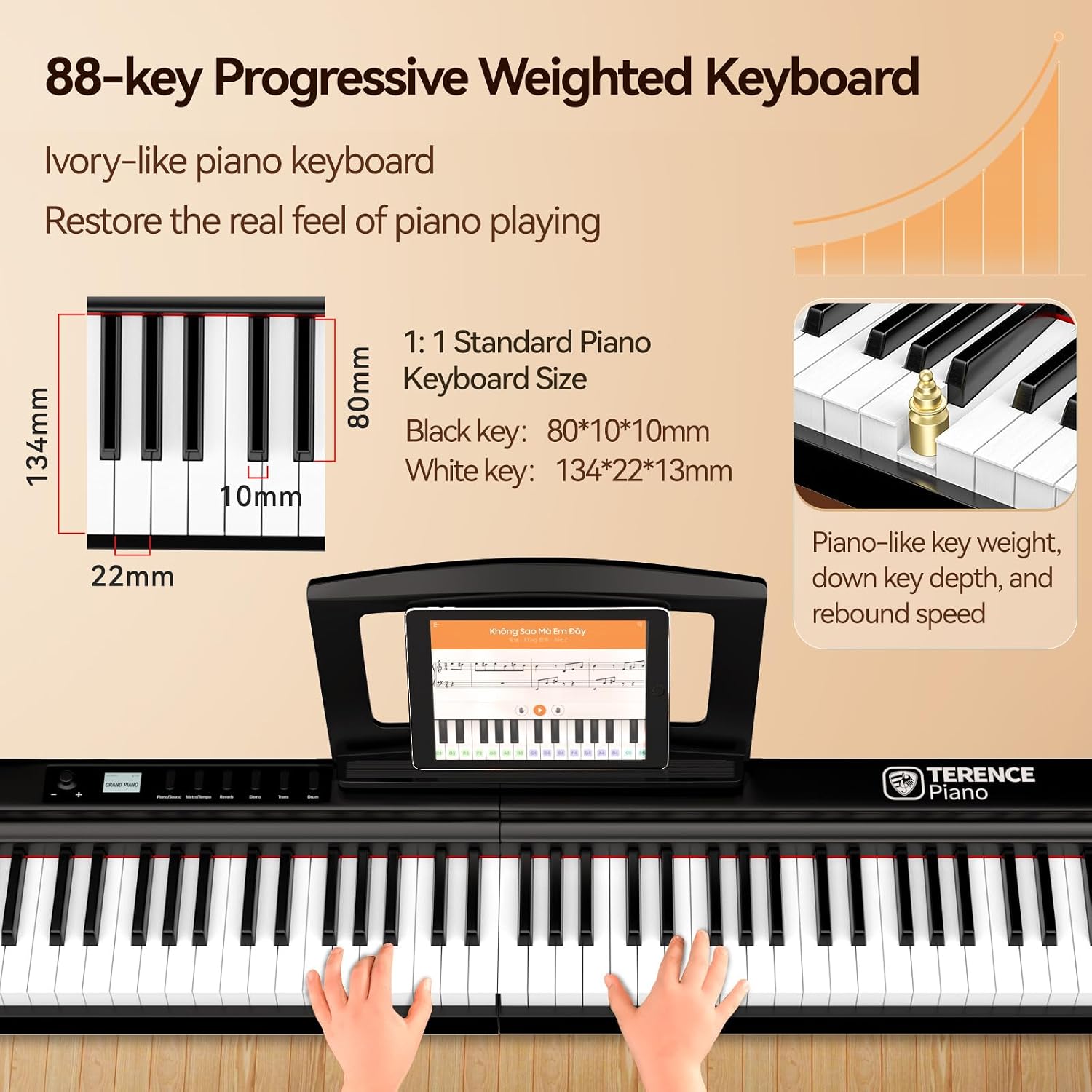 Detalle de TERENCE 88 key weighted digital piano