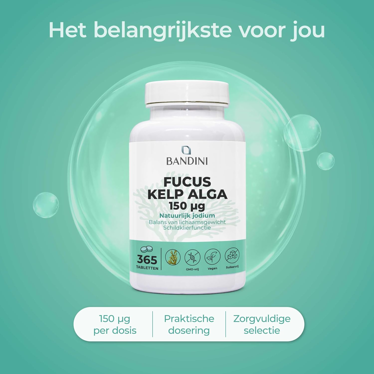 Thumbnail 3 de BANDINI Fucus Kelp Algae jodiumtabletten, 150 µg, 365 stuks