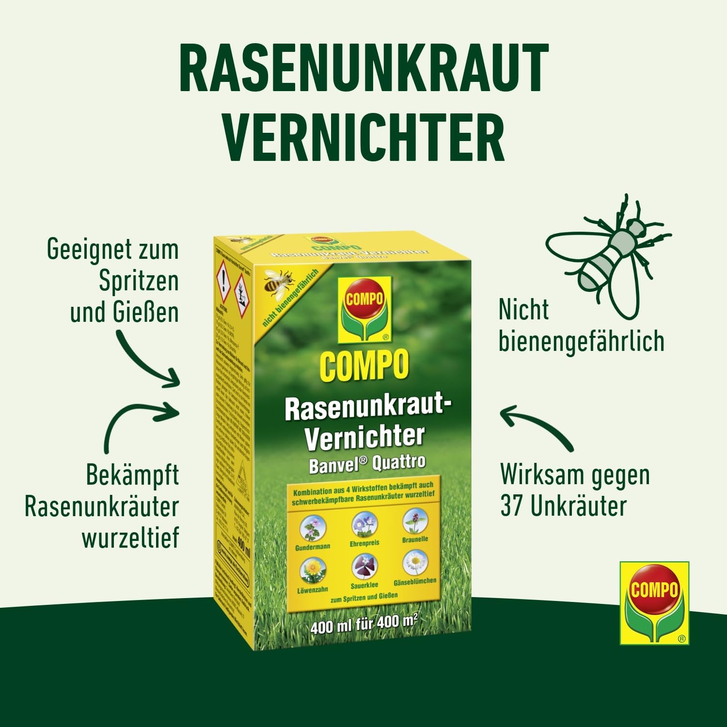 Detalle de COMPO Rasenunkraut-Vernichter Banvel Quattro – Konzentrat 400 ml (400 m²)