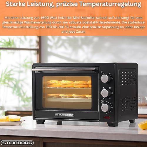 Detalle de STEInBORG Mini Backofen 25 Liter – 3in1 Ofen mit Ober-/Unterhitze, Konvektion und Timer
