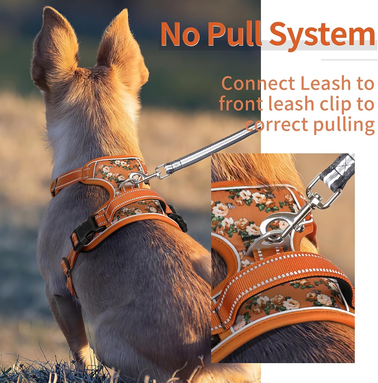 Detalle de HEELE Medium No Pull Dog Harness M
