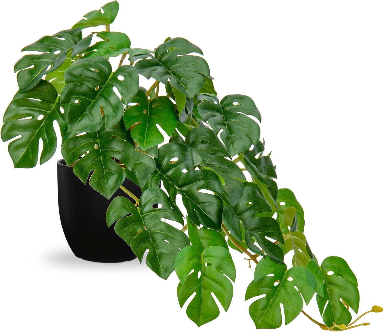 Thumbnail 6 de Hollyone Künstliche Monstera im Topf 25 cm