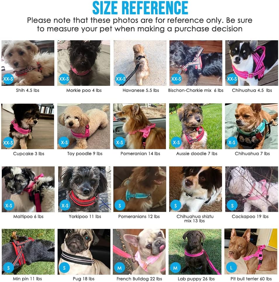 Thumbnail 2 de Eyein Dog Harness Small Dog (XS) – Anti-Pull Heavy Duty Vest with Reflective Lead Set