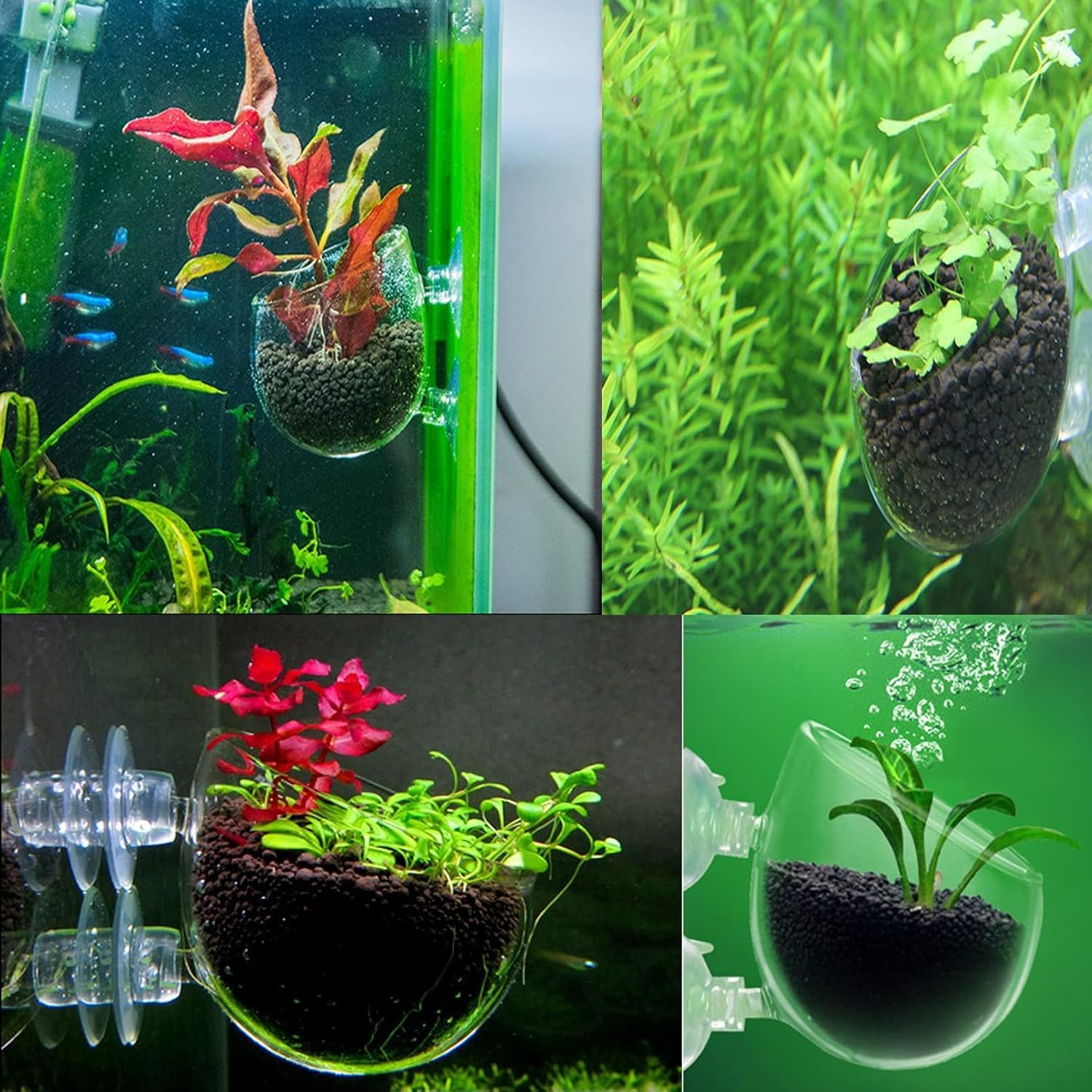 Thumbnail 1 de PINVNBY Plant Pot for Aquarium 2-pack 🐠