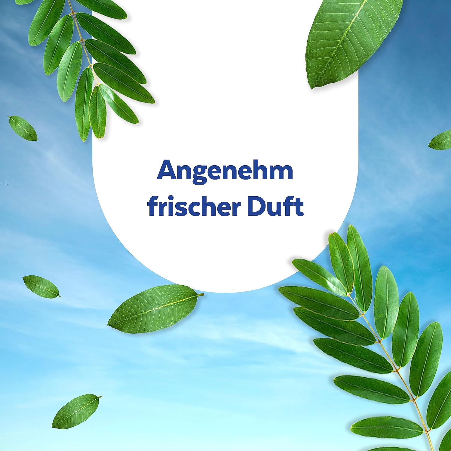 Thumbnail 5 de Sagrotan Hygienereinigungstücher 5×60 Stück
