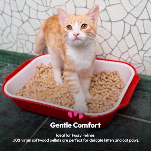 Detalle de Bunty Cat Litter, 30L: Wood Pellets for Odour Control and Ultra-Absorbency