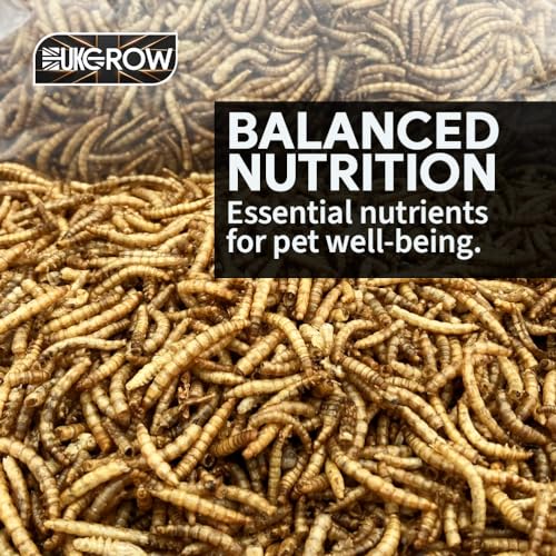 Detalle 2 de UKGROW 10L Premium value Dried Mealworms for birds (10L) by Invigortex
