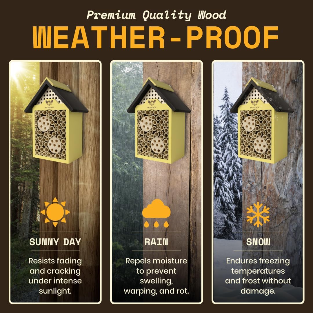 Detalle de WildYard Bee House in legno naturale per api solitarie e impollinatori elettrici