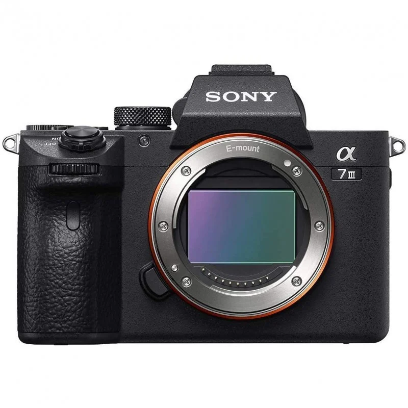 Detalle de Sony Alpha 7 III Cámara sin Lente