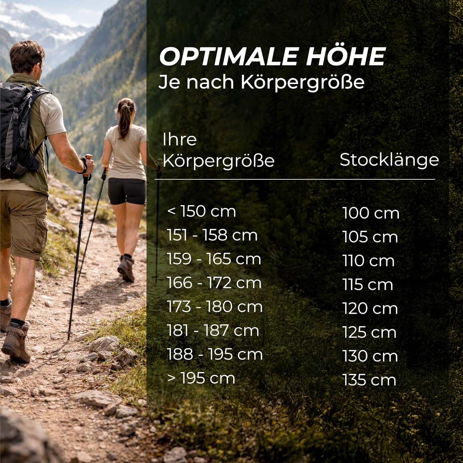 Thumbnail 6 de Zenacross Wanderstöcke Teleskop – Nordic Walking Stöcke, ultraleicht, Korkgriff, verstellbar 65–135 cm