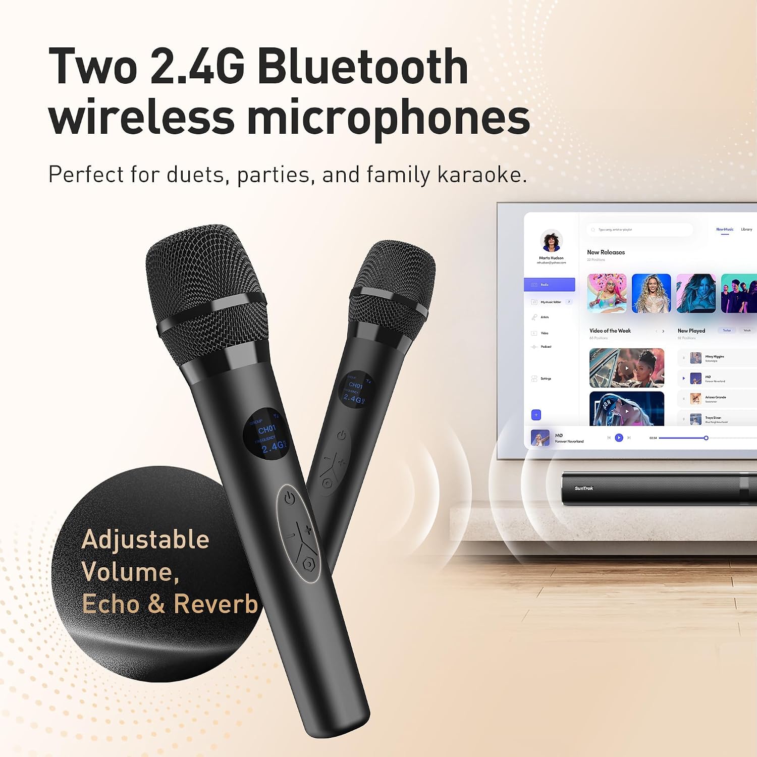 Thumbnail 4 de HEEBUKE Soundbar for TV Karaoke System with 2 Mics