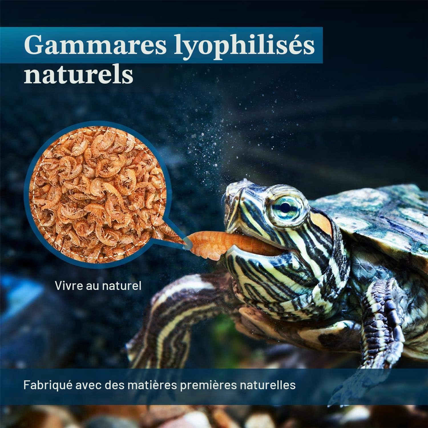 Detalle de Nobleza Nobleza Crevettes Tortue – nourriture pour tortue d’eau aux crevettes, 80 g / 750 ml