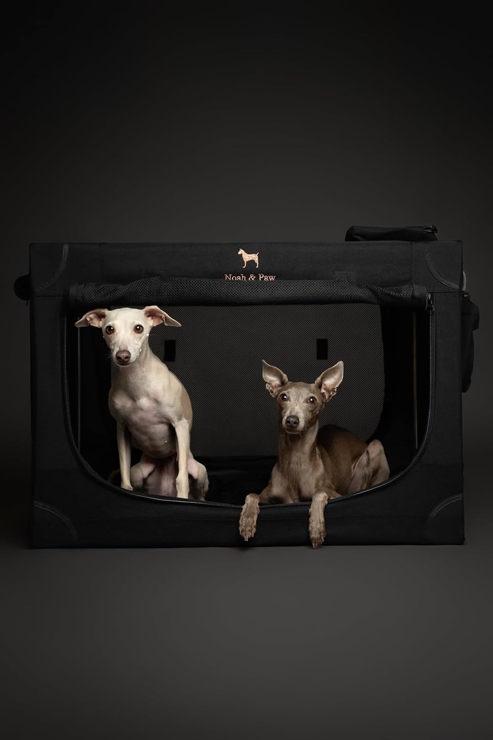 Detalle de Noah & Paw 30-Inch Collapsible Dog Crate (Large) with 10mm Locking Zippers and Pet Mat