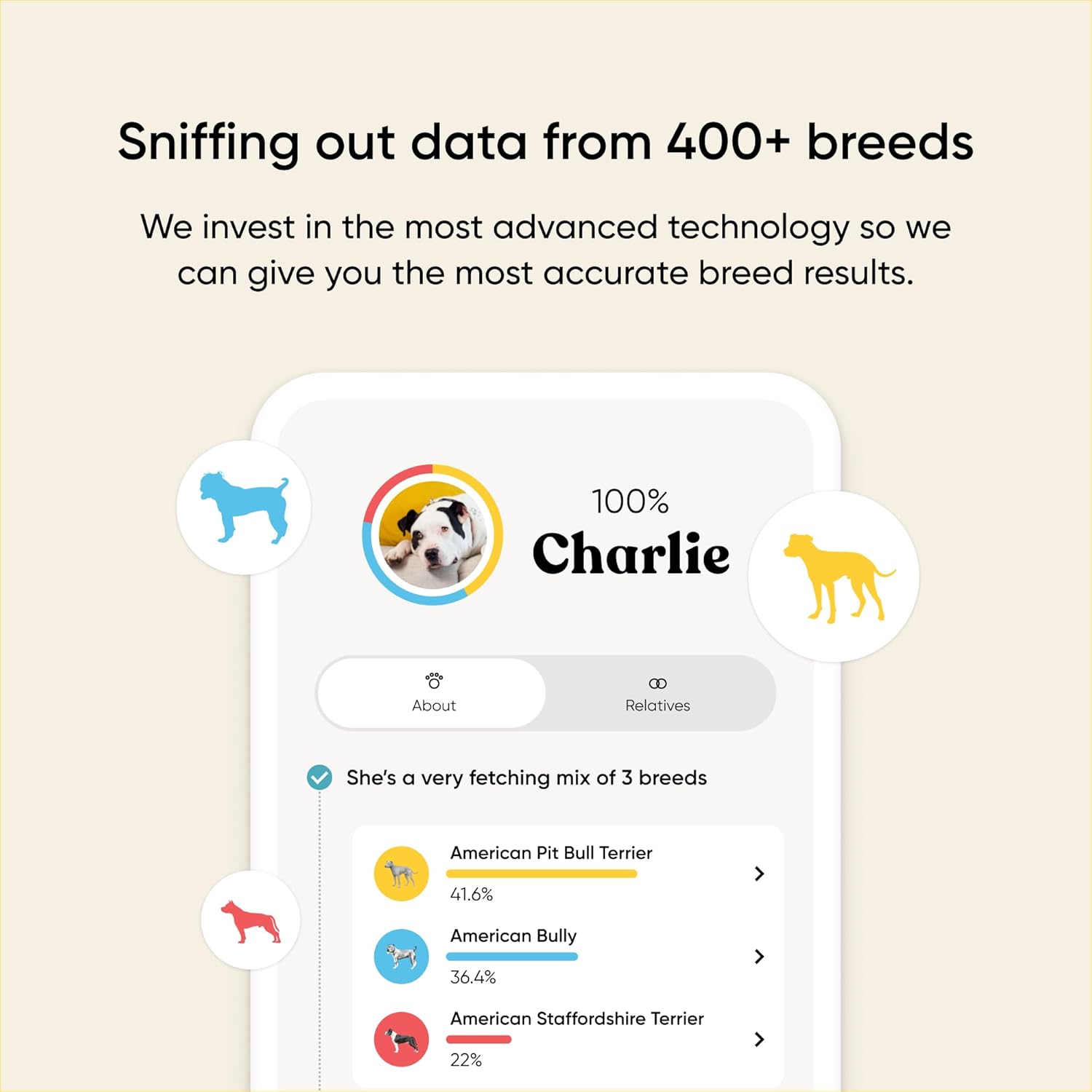 Detalle 2 de Embark Breed Health Kit Dog DNA Testing