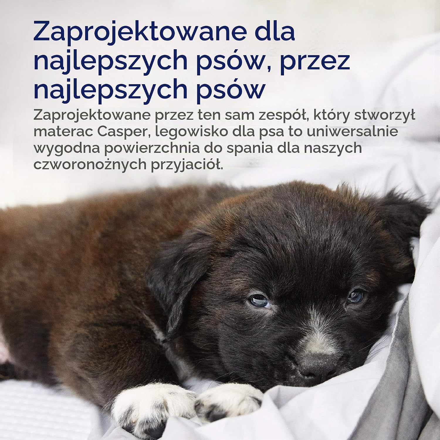 Thumbnail 5 de Casper Pt0000046 małe legowisko dla psa z pianką memory i zdejmowanym pokrowcem