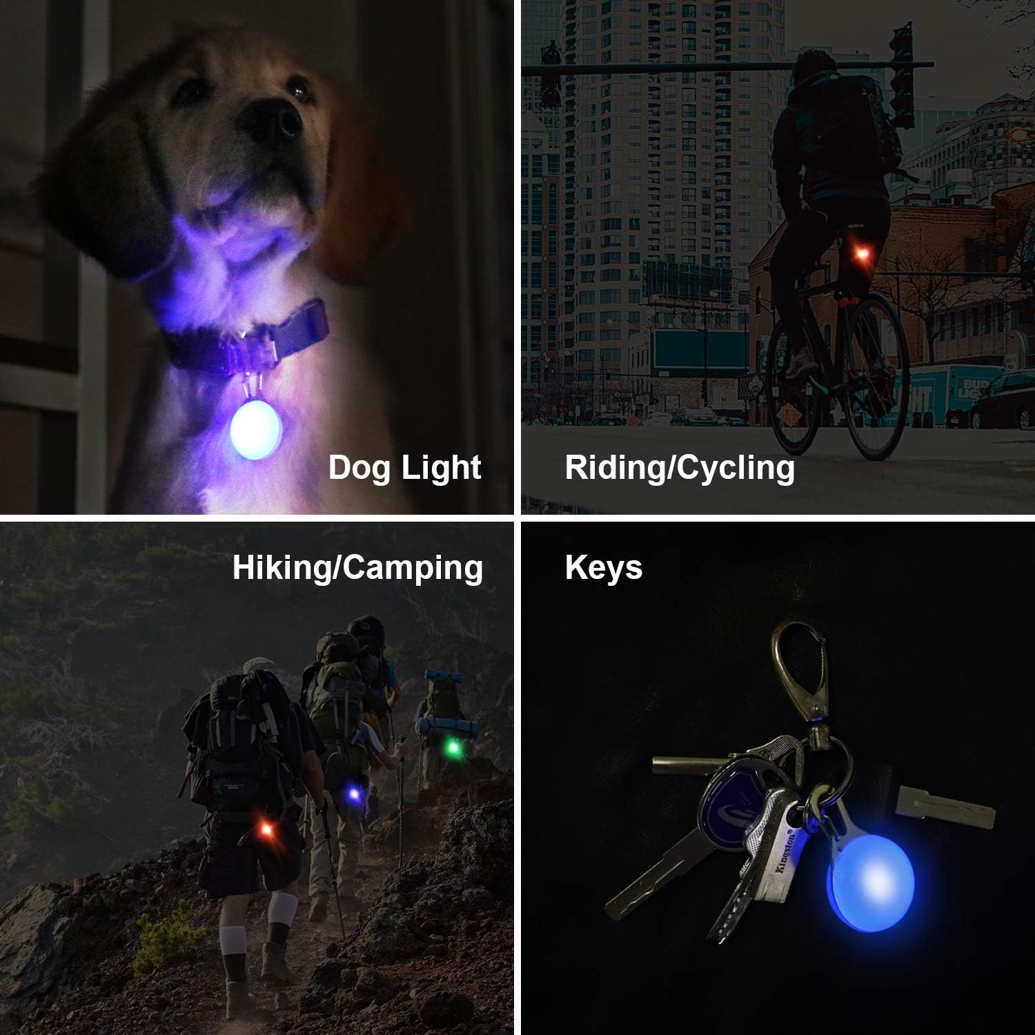 Detalle 2 de MENNYO LED Dog Collar Light 6-pack for Collars