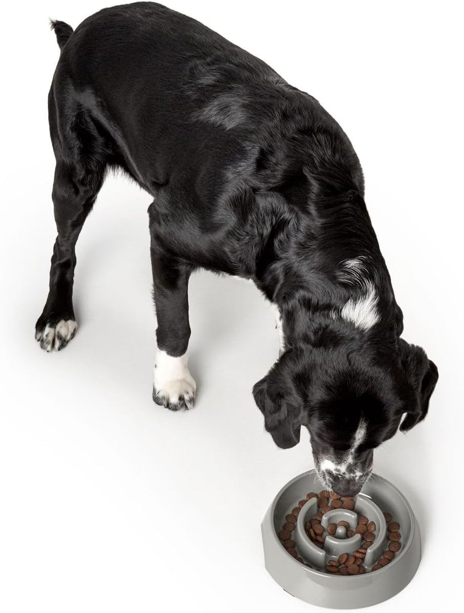 Detalle de HUNTER ATLANTA Anti-Schlingnapf 900 ml – Futternapf gegen schnelles Fressen für Hunde und Katzen